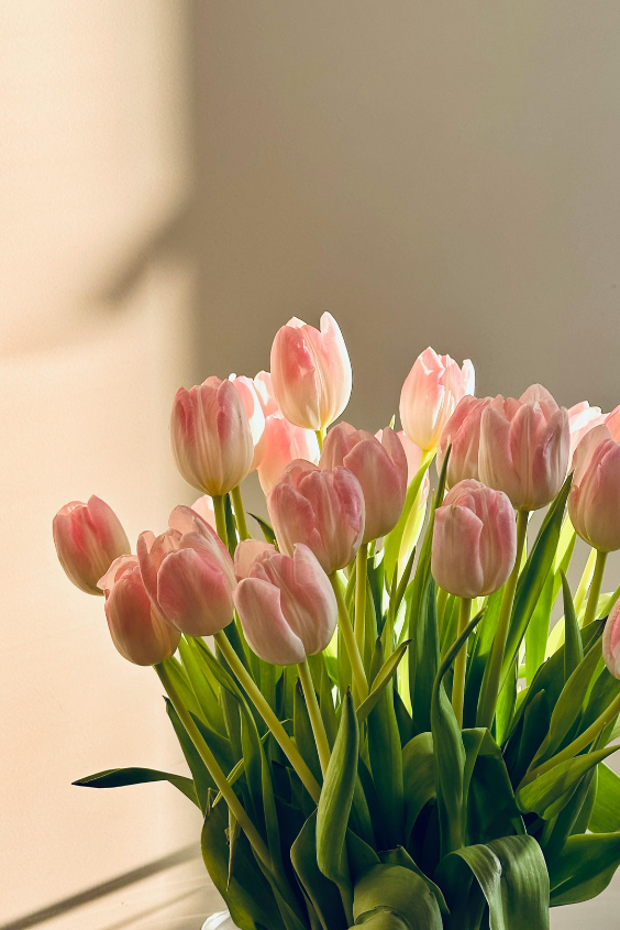 Jarní výzdoba domova z přírodních materiálů