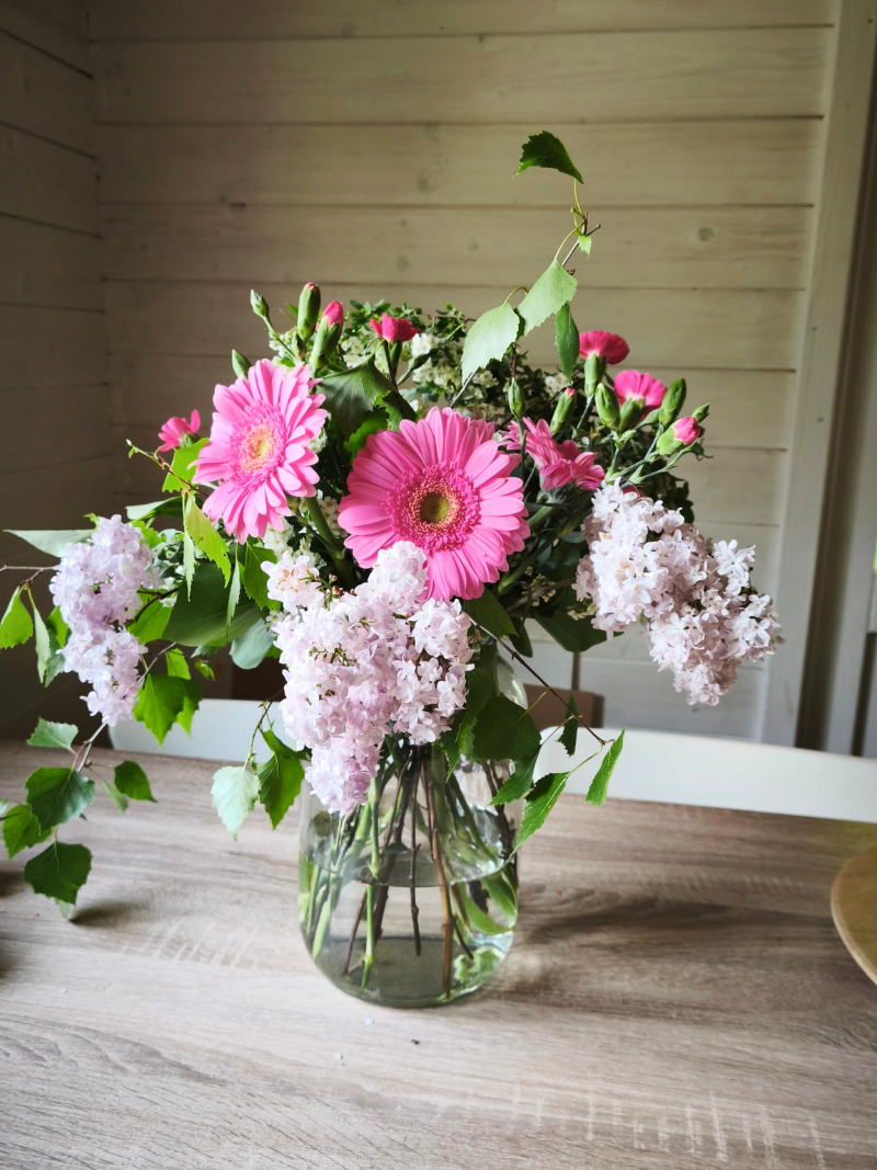 Kytice týdne z Lobelie